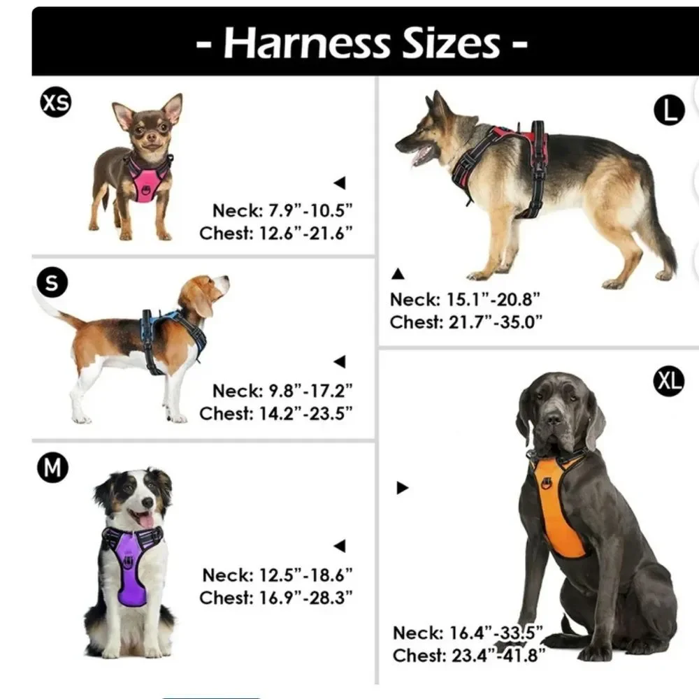 Phoepet Black Dog Harness L